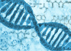 Що таке ДНК? Чому ДНК - це основа живих організмів?