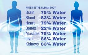 Вода складає близько 66 відсотків людського тіла.