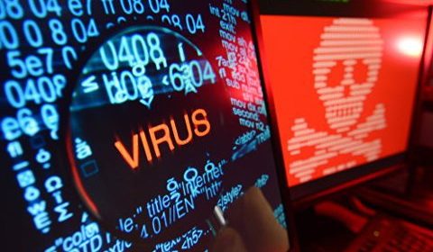 What is computer virus? Dangerous inhabitants of digital world