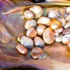 How the pearls are formed?