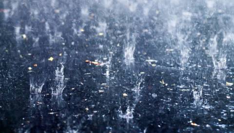 Что такое кислотные дожди и чем они опасны?
