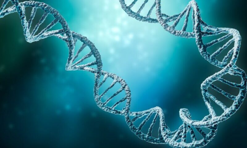 The Building Blocks of Life: What is a Genome?