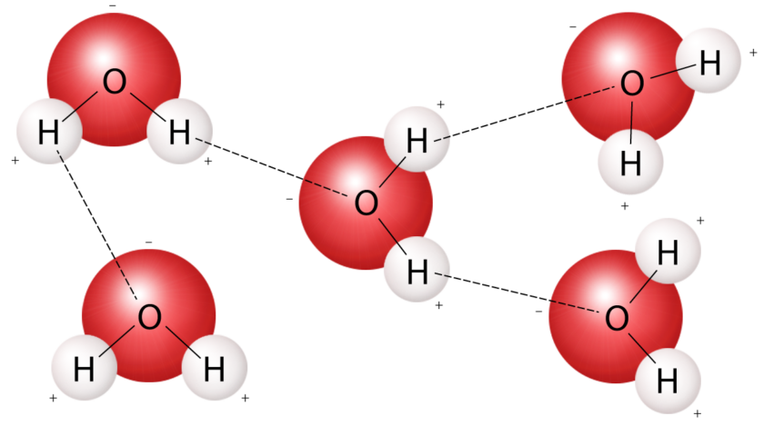 З чого складається молекула: молекули води | Photo: https://www.usgs.gov/