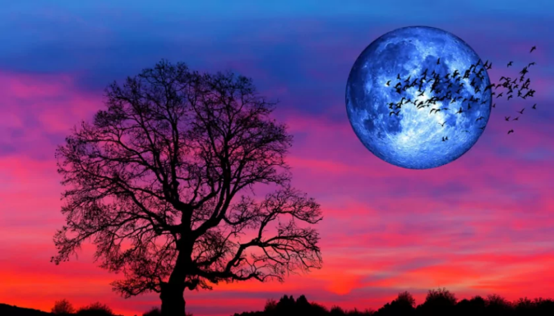 Что такое Суперлуние / Photo:https://www.earth.com/news/august-will-host-two-supermoons-including-a-rare-blue-moon/
