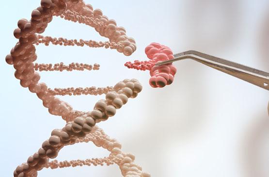 Що таке біотехнологія: розкриття потенціалу