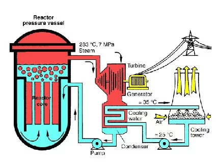 How does a nuclear power plant work: Boiling water reactors (BWR) / Photo: https://www.euronuclear.org/glossary/boiling-water-reactor/