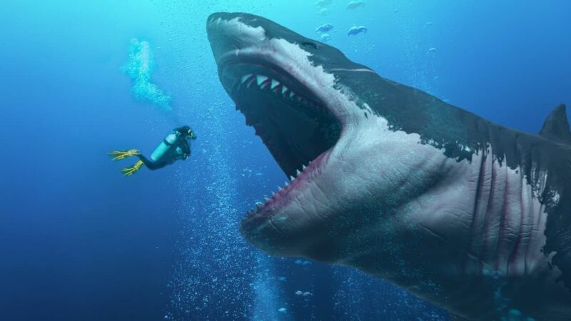 Мегалодон: найбільша акула, яка коли-небудь жила
