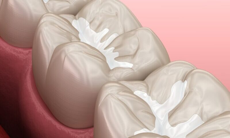 Скільки зубів у людини та які є типи зубів?