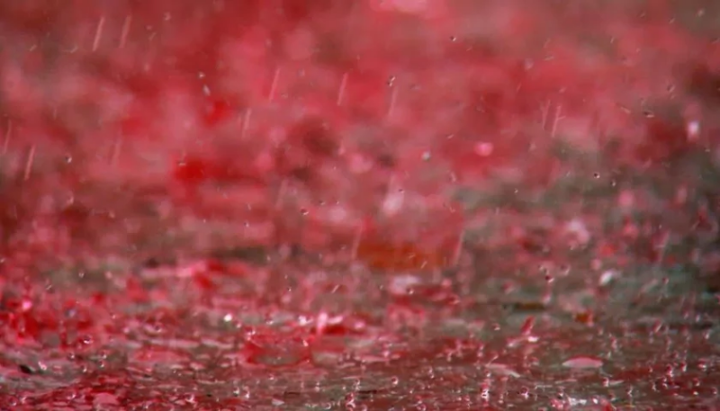 Интересные факты о дожде - красный дождь в Индии / Photo: http://www.mysteryofindia.com/2014/09/mystery-of-red-rain-in-india.html