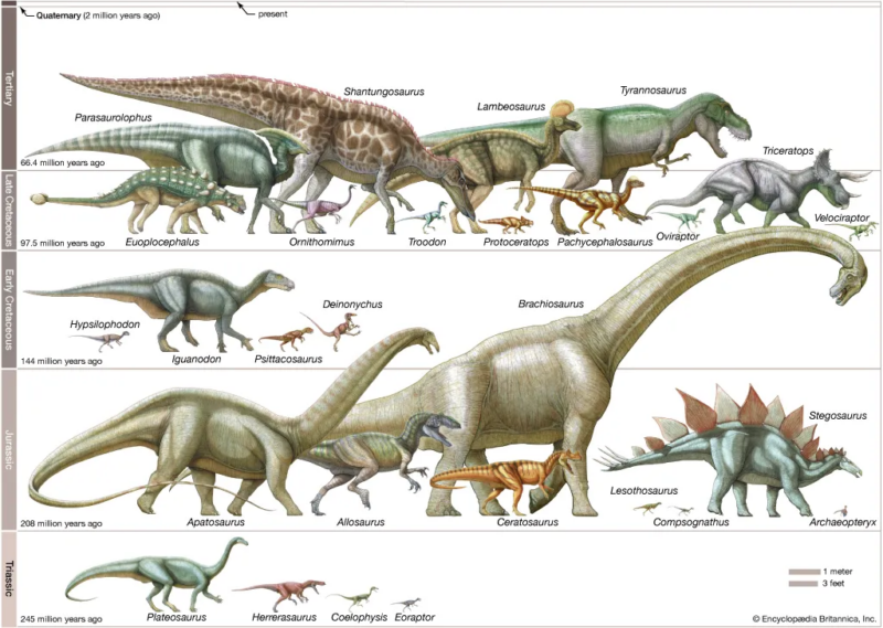 Цікаві факти про динозаврів - види /Photo: https://kids.britannica.com/kids/article/dinosaur/353055