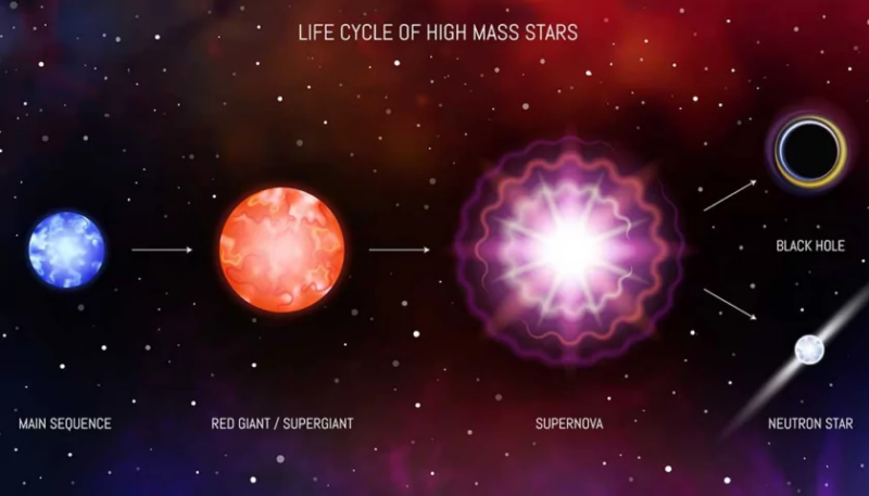 Co to jest supernowa - cykl życia gwiazdy / Fot: https://cosmonova.org/what-is-a-supernova/