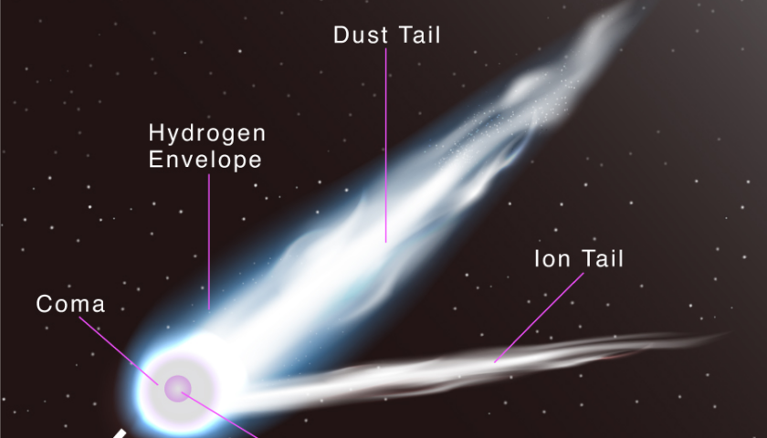 Що таке комета: будова / photo: https://www.sciencefacts.net/parts-of-a-comet.html