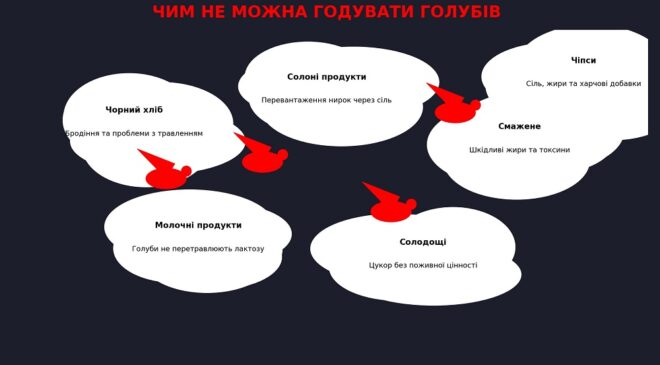 Чим не можна годувати голубів — інфографіка з білими хмаринками на темному небі та червоними голубами